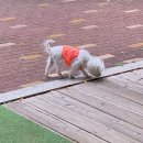 GS25은평우물골점 이미지