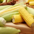 행자농장 이미지