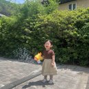 [benebene] 베네베네 로우 하프티 4T 후기 | 24개월 여아 등원룩 추천