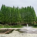 조경기능사 이미지