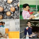 정흥호 농장 이미지