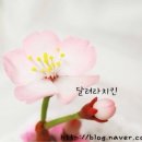 달려라치킨 - 아산시 배방로 239-31 | 달려라치킨