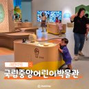 숲중앙어린이집 | 실내에서 하루종일 놀기 좋은 곳 국립중앙박물관 어린이박물관