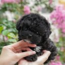 칠곡종합동물병원 이미지