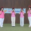 오카리나 Daum카페