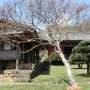 밀양향교 이미지