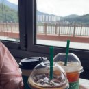 레이크포레스트&백운메밀 이미지