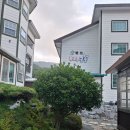 거제도펜션 찾다가 묵은 푸조와곰솔펜션 A동 숙박 솔직후기