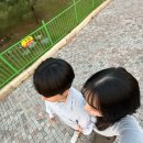 11545-01-52-11 | [W.01] 한화리조트 웨딩홀 투어 후기 / 몬테로소홀 / 베르나차홀 / 27년 예식시간 변경 / 견적공유