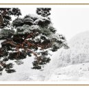 불로장생 이미지