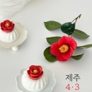 남원읍-77 이미지