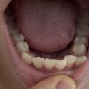 연세라벤더치과교정과치과의원 이미지