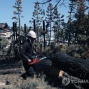 소나무PC방 이미지