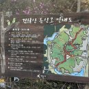 흰돌산수양관 | 건달산 등산 후기 (흰돌산수양관-건달산)