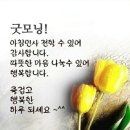 행복한 하루 되세요 ^^ 이미지