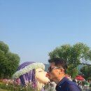 금탑부동산중개 | 세월(김동길교수)