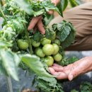 근남농협 이미지