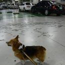 이리온 양재점 이미지