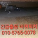 로취사이언스
