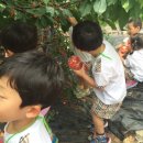 문희농장 이미지