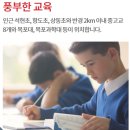 목포상동초등학교 이미지