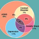 ASD(자폐스펙트럼) 동반증세 중 품행장애는 무조건 소거되어야 합니다. 이미지