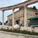 퍼스트가든 동물카페 이미지