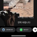 민혁헤어아트 | 202403 개강해떠여