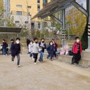 반곡초등학교 이미지