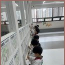 큰솔 태권도 이미지