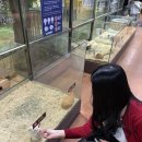 신세계유치원 | 대구 아쿠아리움, 신세계백화점 대구 실내데이트 추천