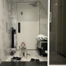 스테이 카마(stay kamma) 이미지