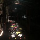 찐라이프