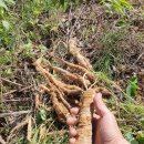 청도자동차공업사 이미지