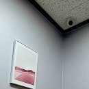 바른길과학