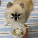 제성기아 이미지