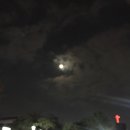 친구랑곱창갈비 이미지