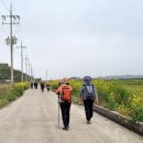 전두리선착장 Daum카페
