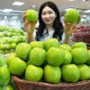 롯데마트 이미지