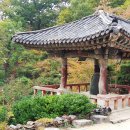 한국알프스(주) - 4611 | 한국알프스(주)