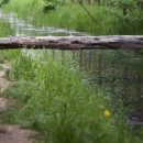 바람이불어오는곳 이미지