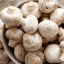 슈퍼짐 헬스휘트니스 이미지