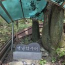 ~한국에 마테호른 양평 용문산(해발 940m 이미지