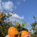 재진2농장 이미지