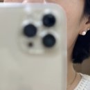 오디니어