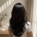 하남 미사 미용실 아이디헤어 하남미사점 레이어드펌 후기