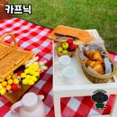 카프닉