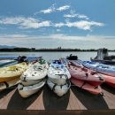 낙동강장어 이미지