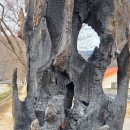 덕천1리경로당 네이버블로그