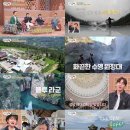 여행고수